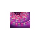 V-Tac 10,8W/m RGB+WW LED strip - 5m, 60 LED pr. meter