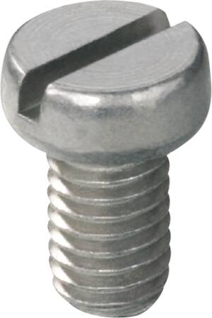 Skrue BS M 5X8              29670