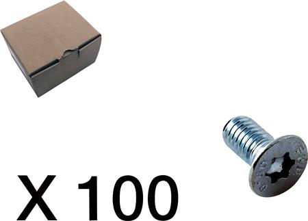 100 Skrue undersænket torx 3102-0612Q1