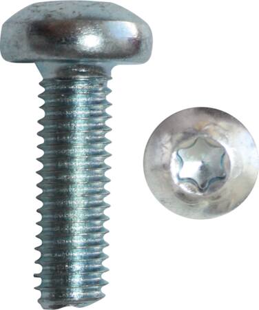 GEVINDFORMENDE SKRUER M4X6 PH TX20 ELFZ
