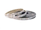 LED Bånd 12V 4,8W 2700K IP68 - WW