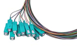 Pigtail OM3 SemiTight 12x2m SC/PC-NC 12  forskellige farver 900