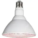 LED Vækstpære Plantelys (Planten Vokser) 16W 1200 lumen, E27, 90°