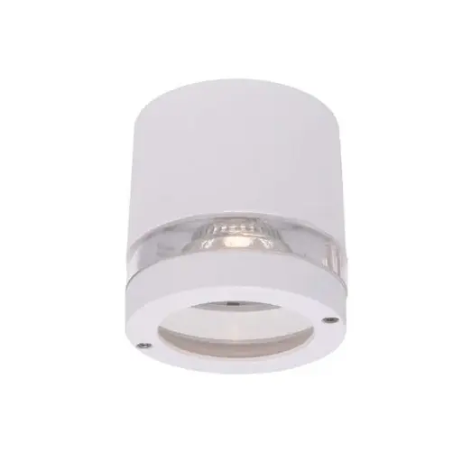 Belysning / Udvendige lamper / Loft Udvendigt / Hvid 1