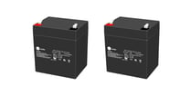 [7894104241] Bly Akku K2 12V - 4,5 Ah T1 - 2 pak