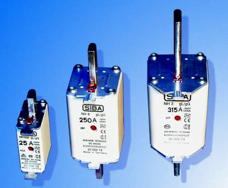 [5425000509] SIKRING NH00 500V GG 125A