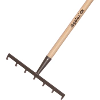 [881673251] Galax kultivatorrive, 7-tands/30 cm