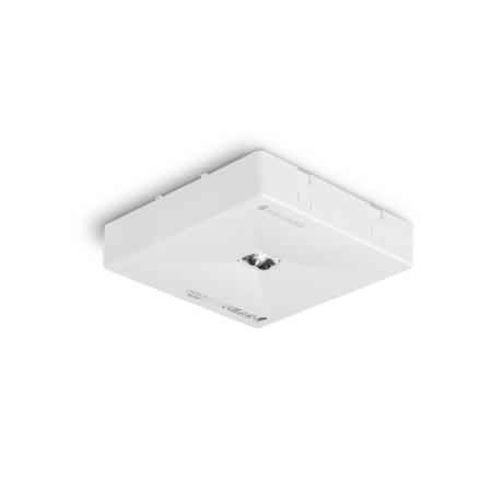 [541509] Panik ONTEC R C1 60 NM ST W gang batt. Manuel