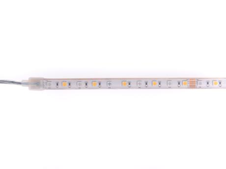 [827262] DIOFLEX PRO II 14,4W/m 24V RGBW 900lm 60L 5m IP68
