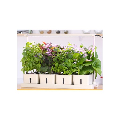 [4065-0] LEDlife Hydroponisk Plantebakke - Hvid, Inkl. Vækstlys, 20 Pladser, 4x2L Vandtank, 34W Effekt