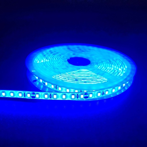 [19952-15196] Blå 10W/m LED strip - 5m, 120 LED pr. meter, 24V, IP65, Vandtæt LED belysning til indendørs og udendørs brug, 5 meter lang med høj lysstyrke og lavt strømforbrug