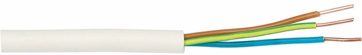 [0445201] EXQ-LIGHT 3G1,5 R50