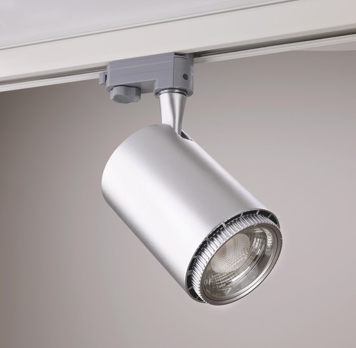 [9974396] REX II 24W 20-60° DIM. SILV