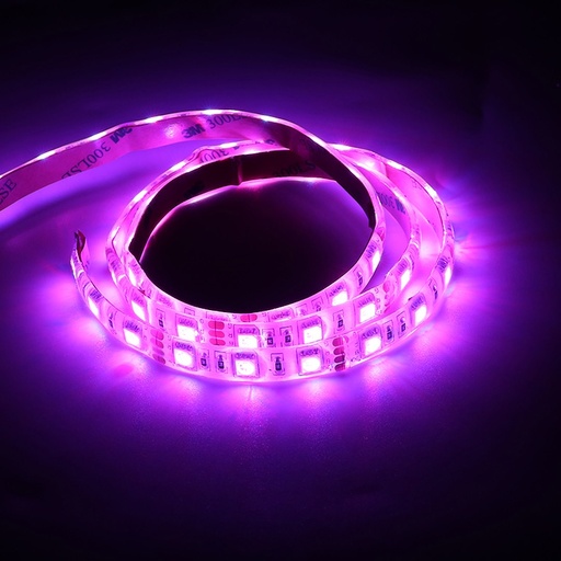[9975182] STRIP IP65 5M 12V RGB 11,5W/M