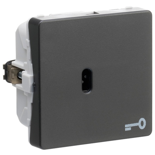 [1017054721] LK FUGA® afbryder korrespondance for nøgle koksgrå