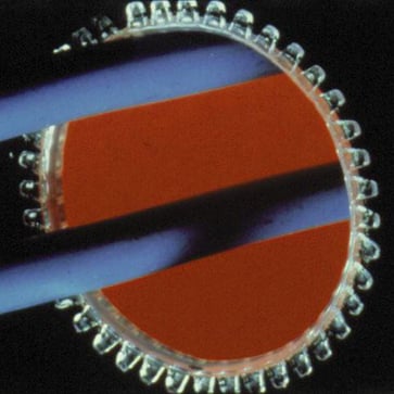 [0430300448] Kantbånd med lim 0,9-1,6mm RL30,5M
