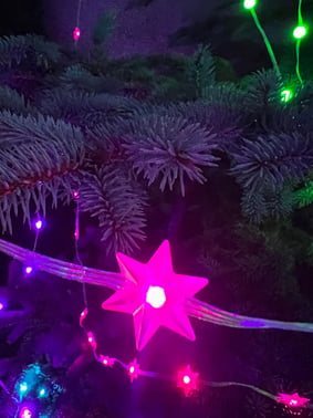 [7848204281] Julekæden - Stjerne 10m RGB Bluetooth