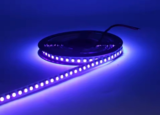 [H12827] LED strip (IP20) - 24V, 120 UV (365nm) LED/m (metervare)