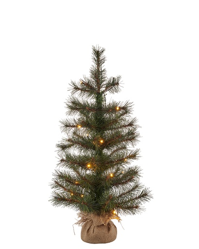 [6648704636] Sirius Alvin Træ, H60cm, 20L, Grøn