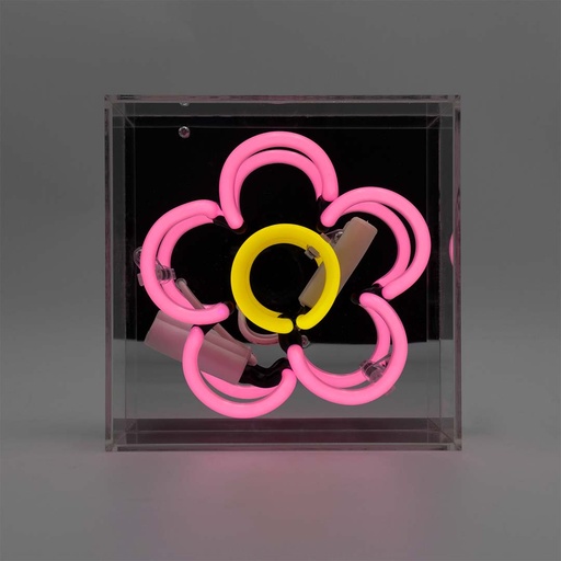 [930232493] Locomocean mini acrylic box neon - Daisy - Pink