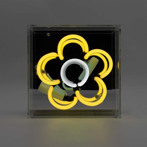 [930232494] Locomocean mini acrylic box neon - Daisy - Gul