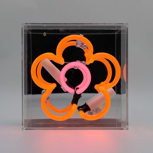 [930232492] Locomocean mini acrylic box neon - Daisy - Orange