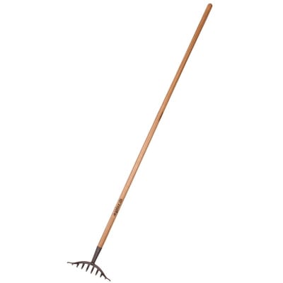 [882670194] Galax rosenrive, 10-tands, 250 mm