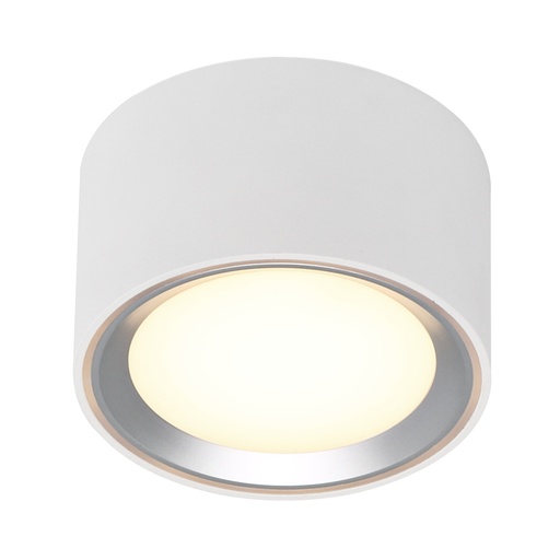 [4242415187] Påbygningsspot Fallon, LED 8,5W 500 lumen, hvid/børstet stål