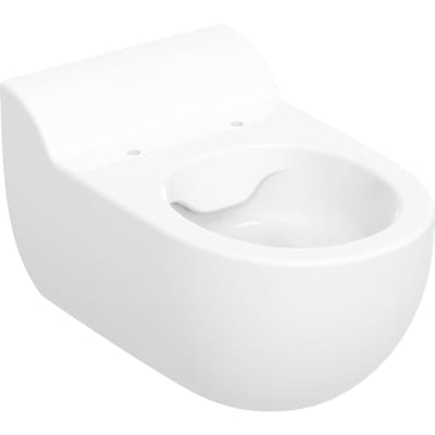 [613411100] GEBERIT BAMBINI hængetoilet 335x345x530mm Rimfree t/indb.cist po