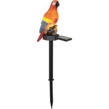 [6248002165] Star Trading Papegøje Solcellelampe