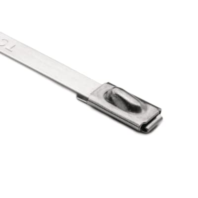 [6239009397] STÅLBINDER SS316 7,9X681