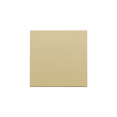 [3417816062] BLÆNDDÆKSEL ALU GOLD