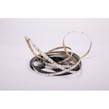 [6257700490] MAESTRO LED Strip 2700K, 4,8 w/m, 12VDC, IP20