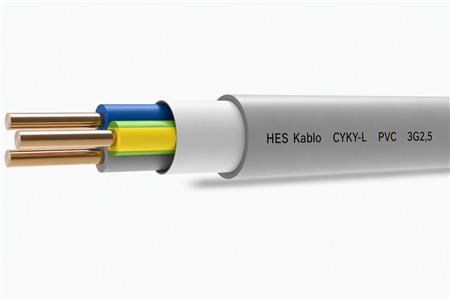 [5401067312] KABEL 3G2,5 PVC RING 50 METER ECA