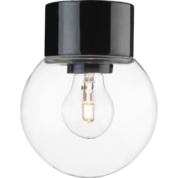 [8742040265] Loft- og væglampe Glob 150 lige, E27, sort/klar, IP54