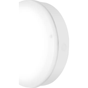 [5643002143] LEDV Surface Bulkhead Outdoor 800lm 250mm 10W/830 IK10 hv IP65