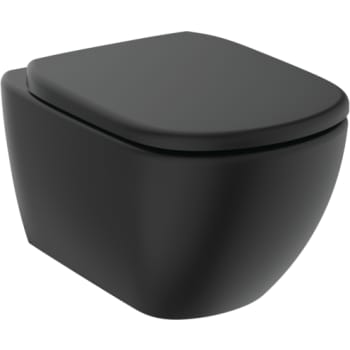 [613141351] TESI HÆNGESKÅL RL+