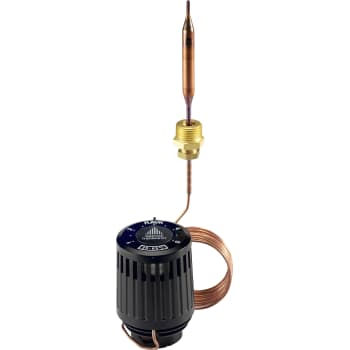 [451244063] RAVK 25-65° termostat element