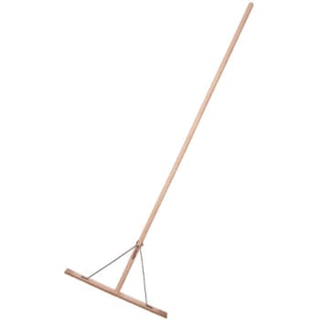 [882670177] Galax asfaltrager, asketræ, 70 cm
