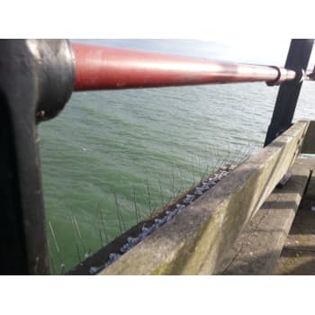[275099005] Duesikring Avipoint P32 5mtr