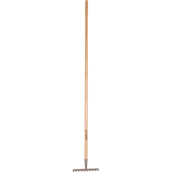 [881673560] Galax rive, 10-tands/25,2 cm
