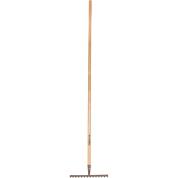 [881673562] Galax rive, 14-tands/36,0 cm