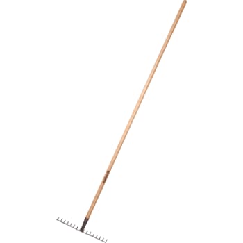[881673563] Galax rive, 16-tands/40,0 cm