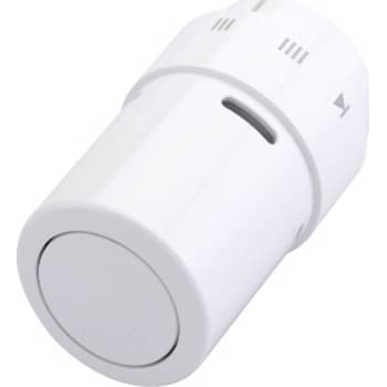[403239822] RAX termostat hvid RAL 9016