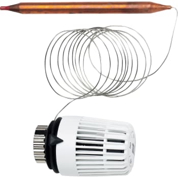 [403414112] TA termostat 40-70° 2 meter