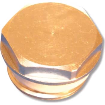 [405495354] 1/2" Forkromet radiatorprop m/silikone