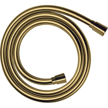 [738196005] Hansgrohe Isiflex'B bruserslange 1600 mm, poleret guld-optik