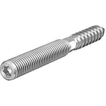 [018909710] Samontec STST M10 x 100 mm ansatsskrue Torx