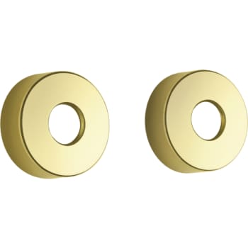 [745124725] Damixa Rossetter (store). 2 stk til 3/4". Ø75 mm Poleret messing
