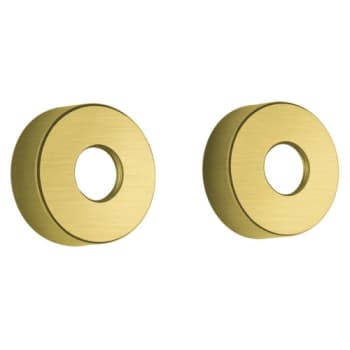 [745124738] Damixa Rossetter (store). 2 stk til 3/4". Ø75 mm Børstet messing